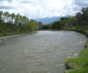 Paisaje de la región cafetera.  Fuente: Uff.Travel