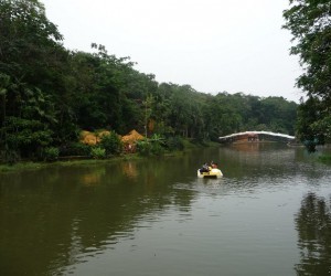 Bioparque Los Ocarros Fuente 3bp blogspot com